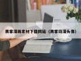 南漳黑客漫画素材下载网站（黑客动漫头像）